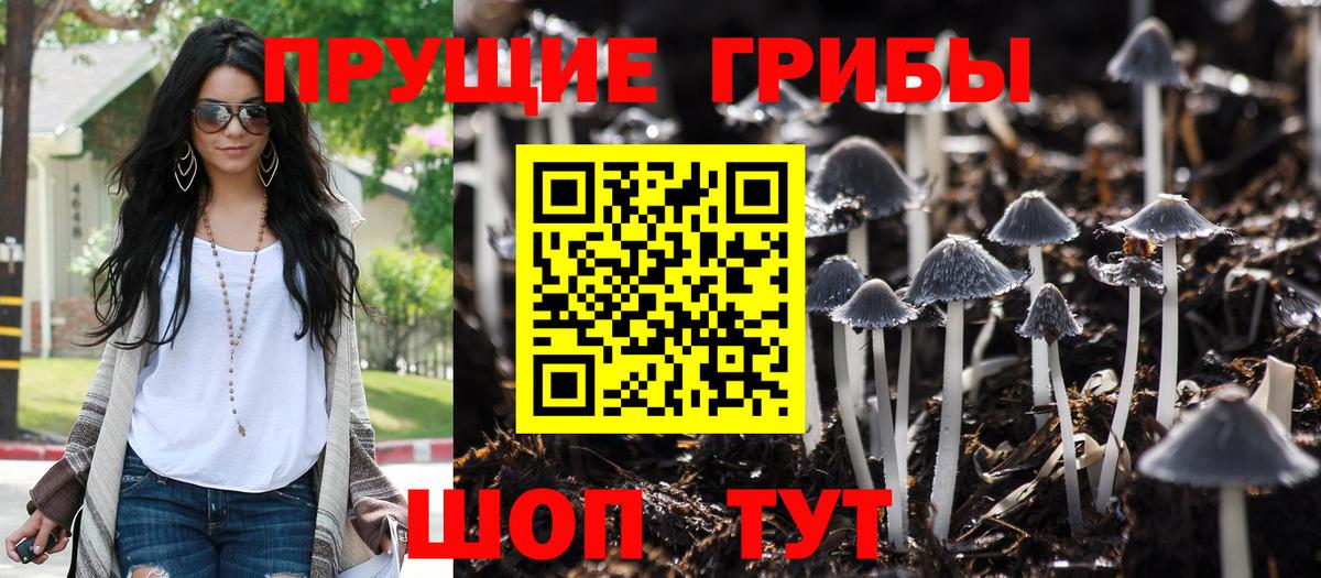 Галлюциногенные грибы GOLDEN TEACHER  Вход с VPN  купить  сайты  Белогорск 