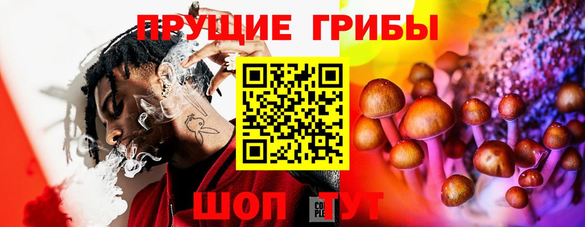 Галлюциногенные грибы прущие грибы Белогорск